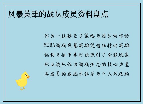风暴英雄的战队成员资料盘点