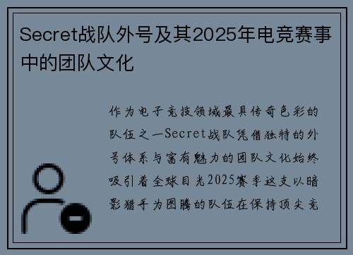 Secret战队外号及其2025年电竞赛事中的团队文化